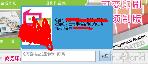 网站会话窗口
