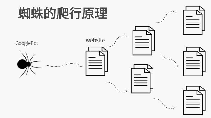 网站蜘蛛爬行规律