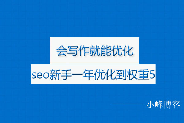 seo项目