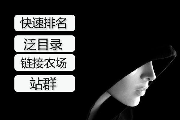 黑帽技术