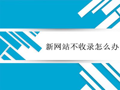 网站收录.jpg