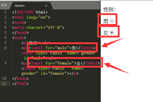 HTML标签<label></label>标签有什么作用?（转）