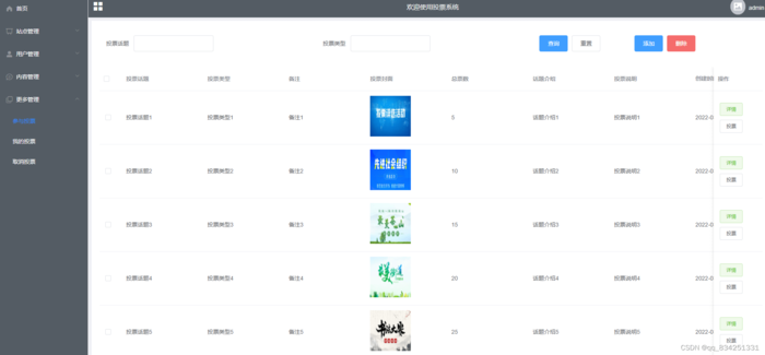SpringBoot结合Vue实现投票系统过程详解