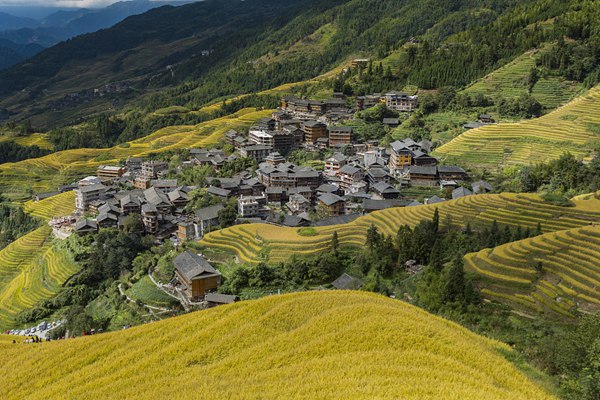 农村 乡村 旅游