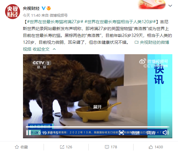 世界在世最长寿猫将满27岁：相当于人类120岁